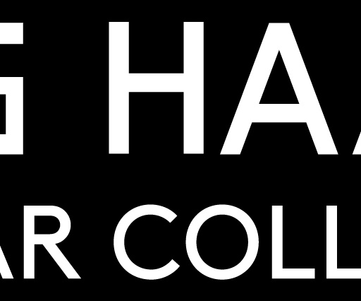 E Haaland EC Logotype white